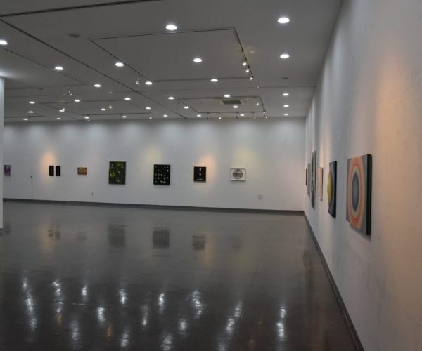 DSC_7380.JPG