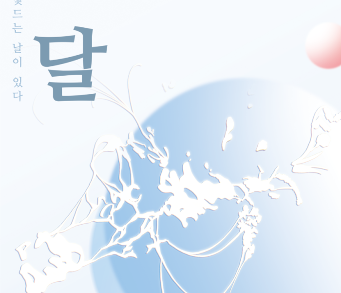 KakaoTalk_20241105_163713056.png
